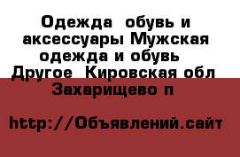 Одежда, обувь и аксессуары Мужская одежда и обувь - Другое. Кировская обл.,Захарищево п.